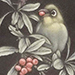 Koji Ikuta Gallery